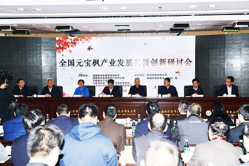 2018年11月1日陕西杨凌全国元宝枫产业发展研讨会